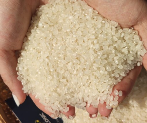 Japonica Round Rice / Sushi Rice