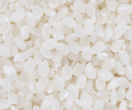 Japonica Round Rice /Sushi Rice