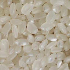 Japonica Round Rice / Sushi Rice