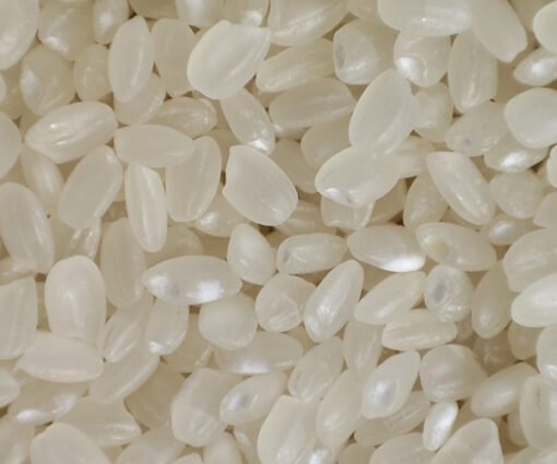 Japonica Round Rice / Sushi Rice
