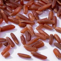 Red Rice
