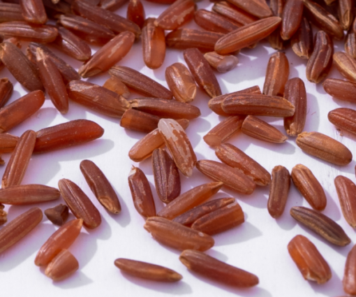 Red Rice