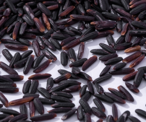 Black Rice