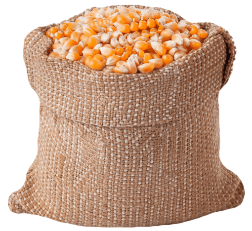 Bulk Yellow Maize For Sale