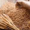 Organic Hard Red Spring Wheat