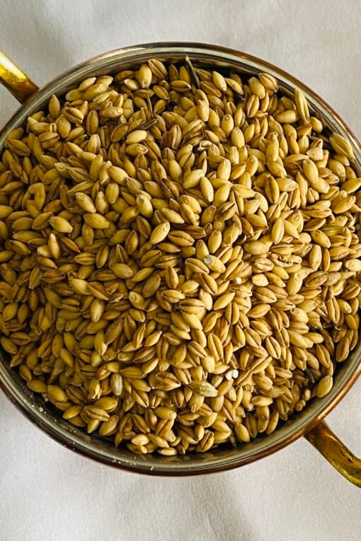 Organic Whole Grain Barley