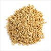 Organic Whole Grain Oats