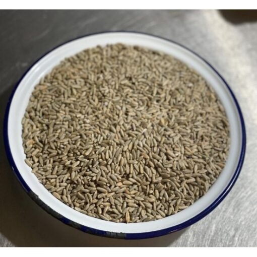Organic Whole Grain Rye exporters